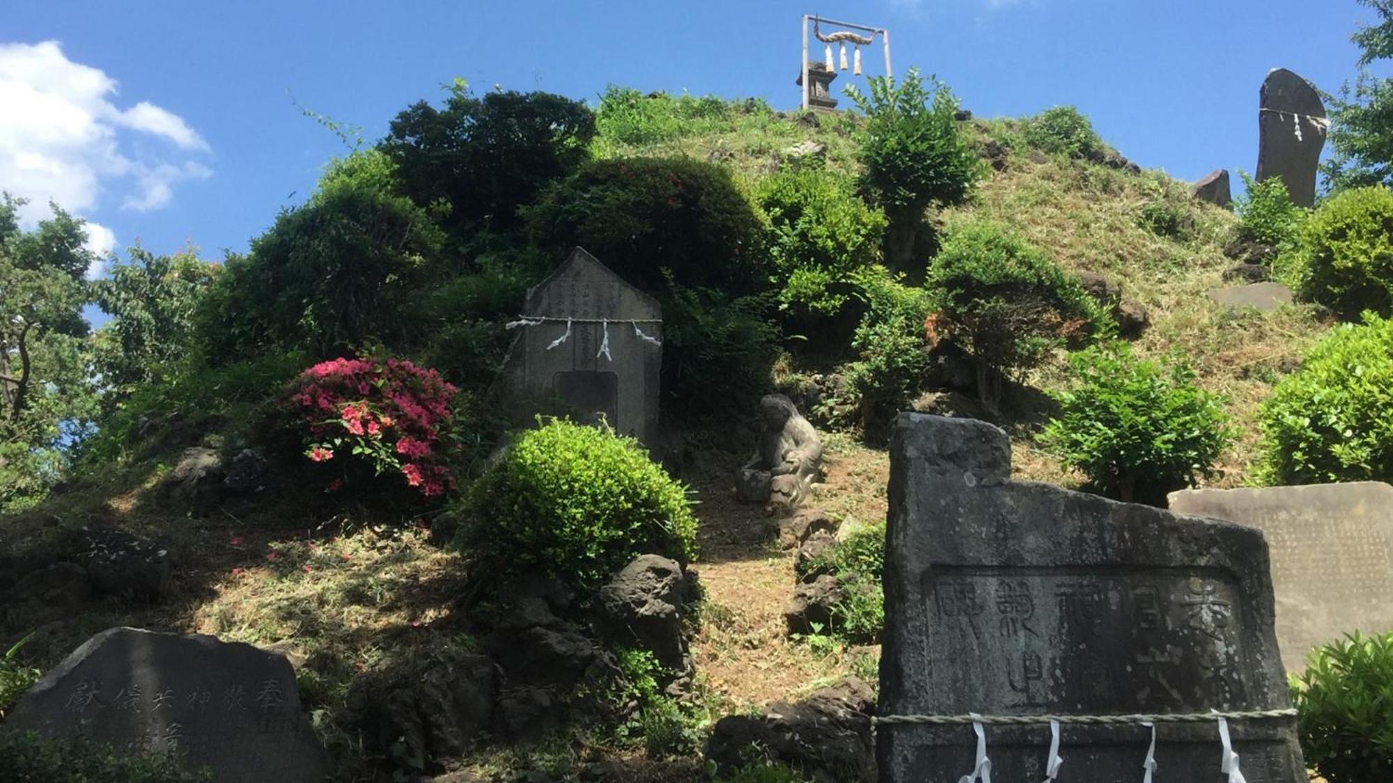 Toyoko Inn Shiki Eki Higashi Guchi Exteriér fotografie