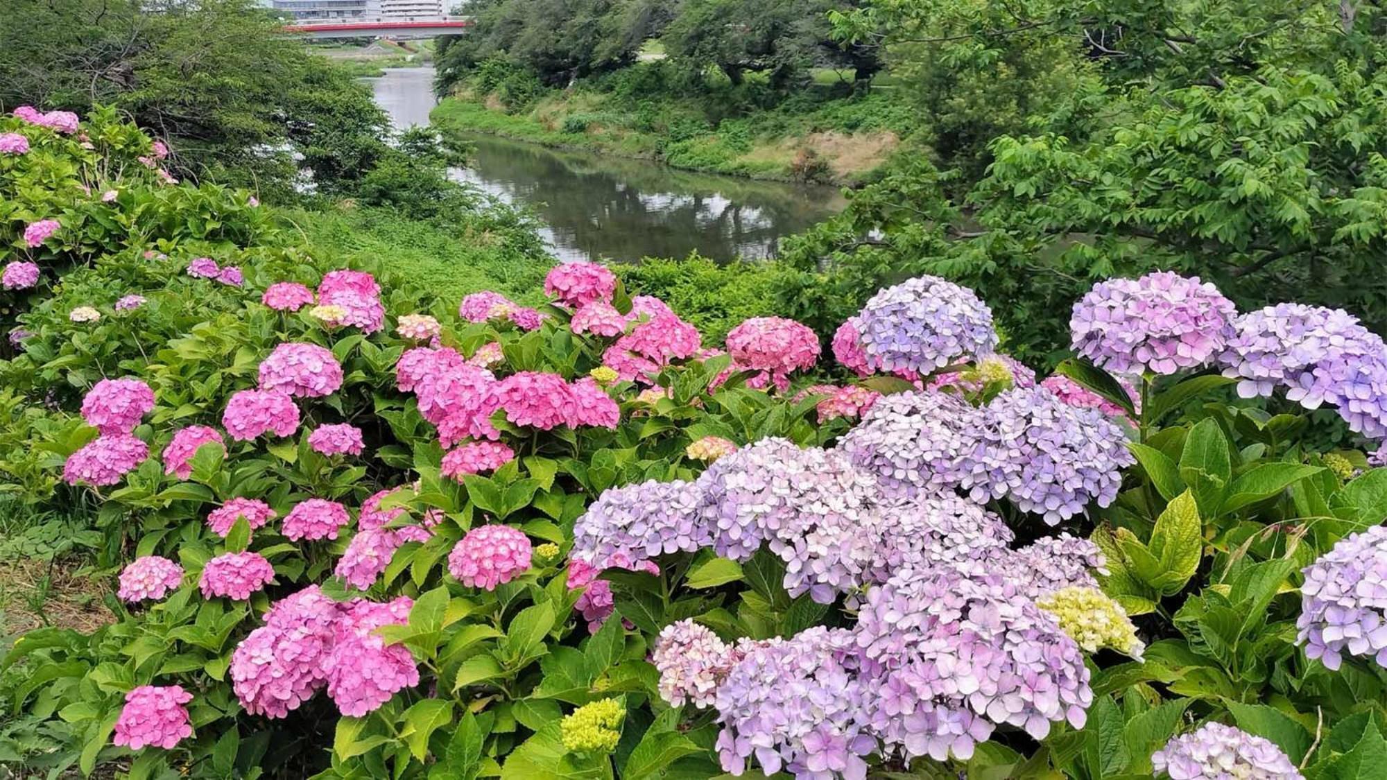 Toyoko Inn Shiki Eki Higashi Guchi Exteriér fotografie